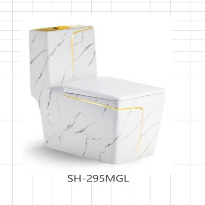 BL-SH295MGL Premium WC