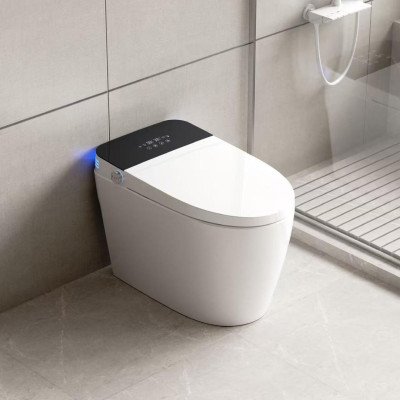 BL-BSWC02 Smart WC